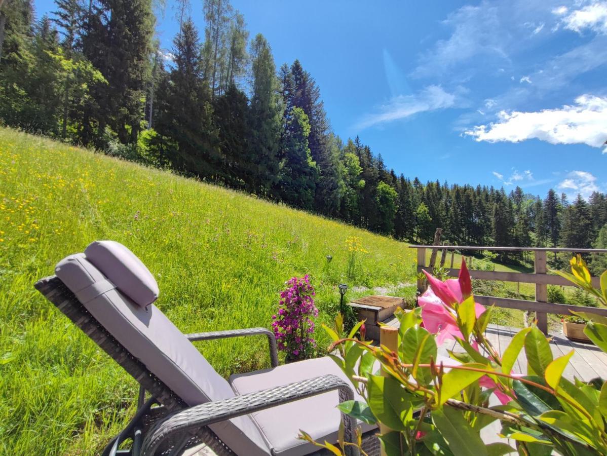 Villa Bischofsberg - Laerchen-Wellness Apartment Windischgarsten Eksteriør billede