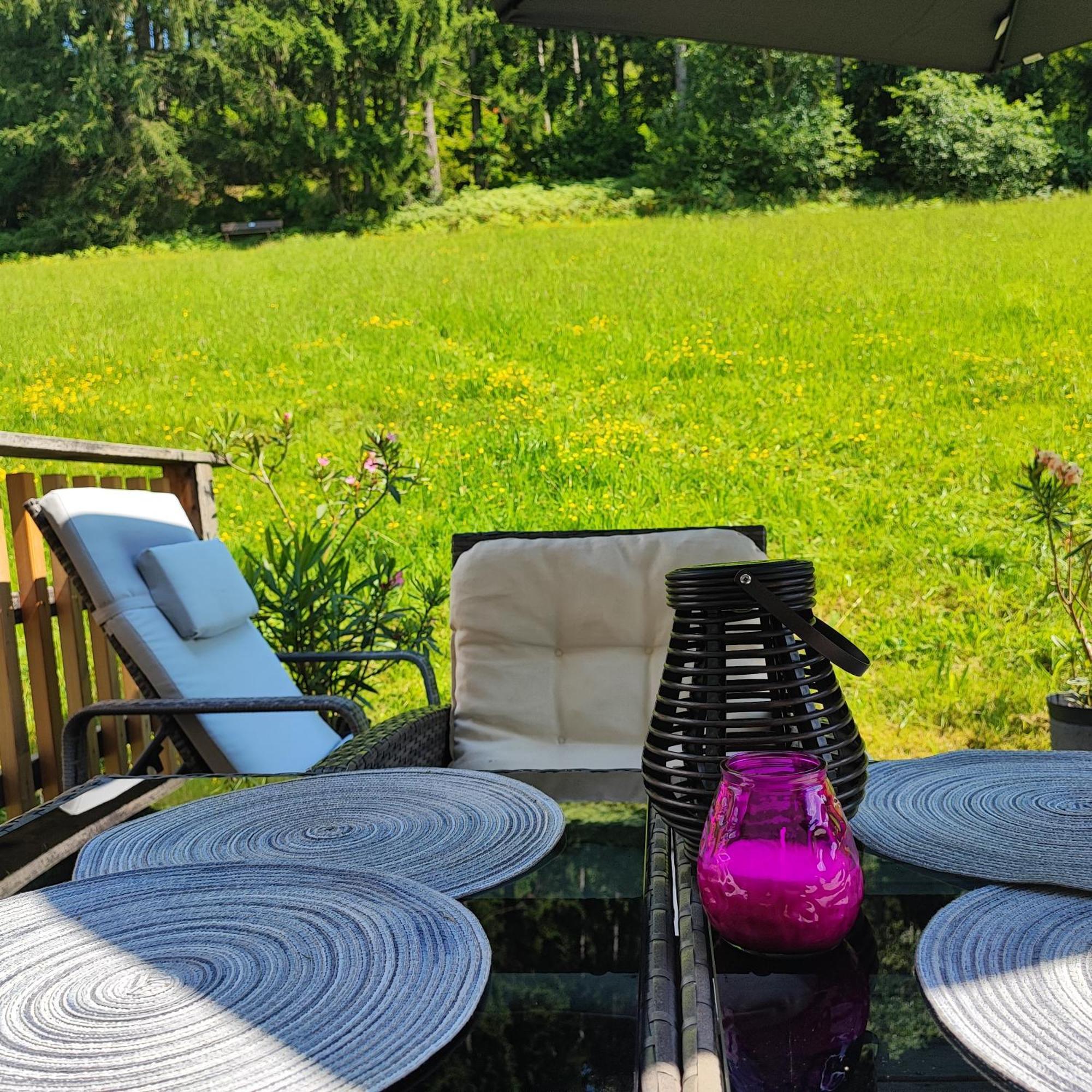 Villa Bischofsberg - Laerchen-Wellness Apartment Windischgarsten Eksteriør billede